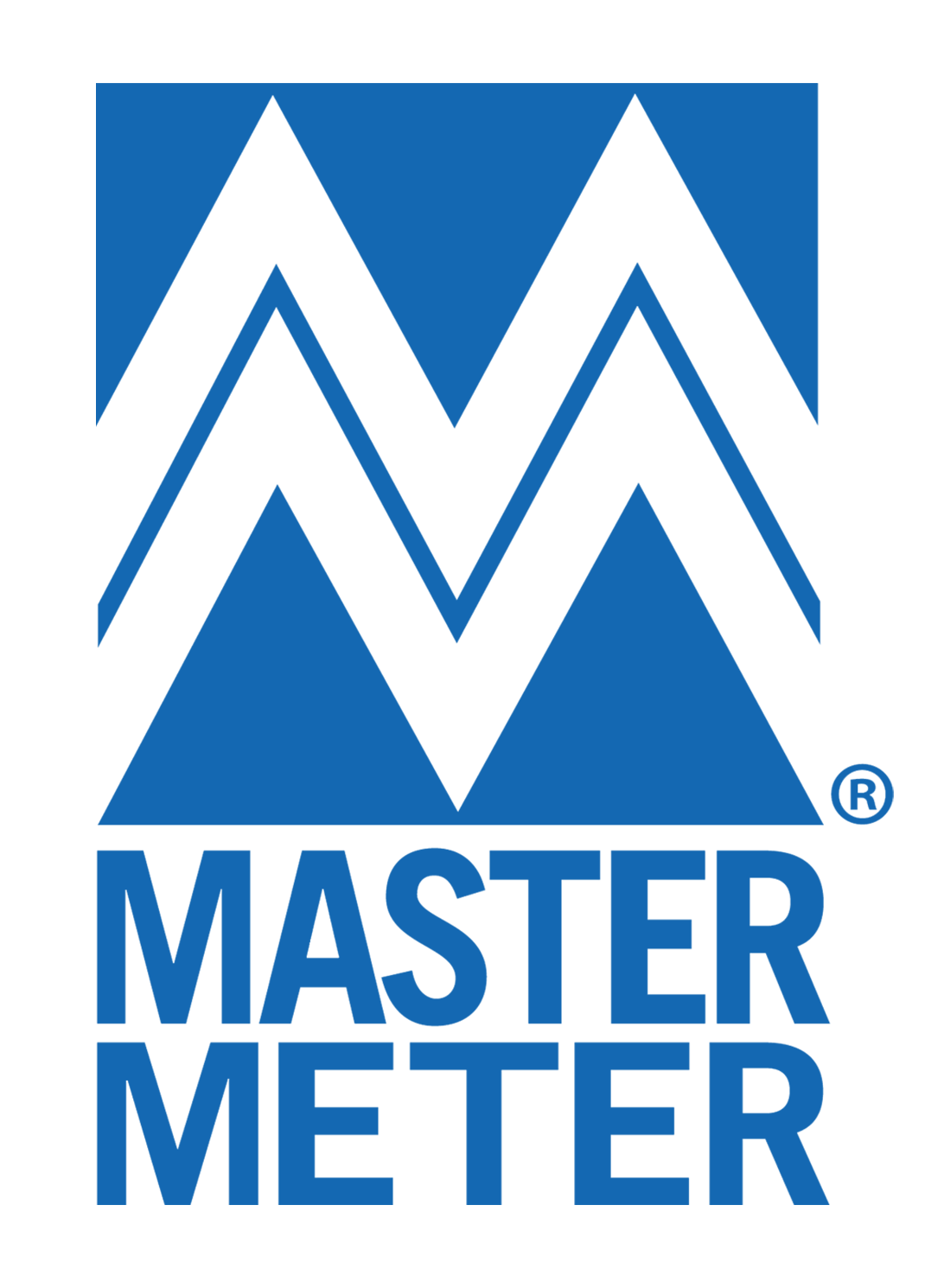 Master Meter