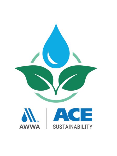 Sustainability At Ace Logo
