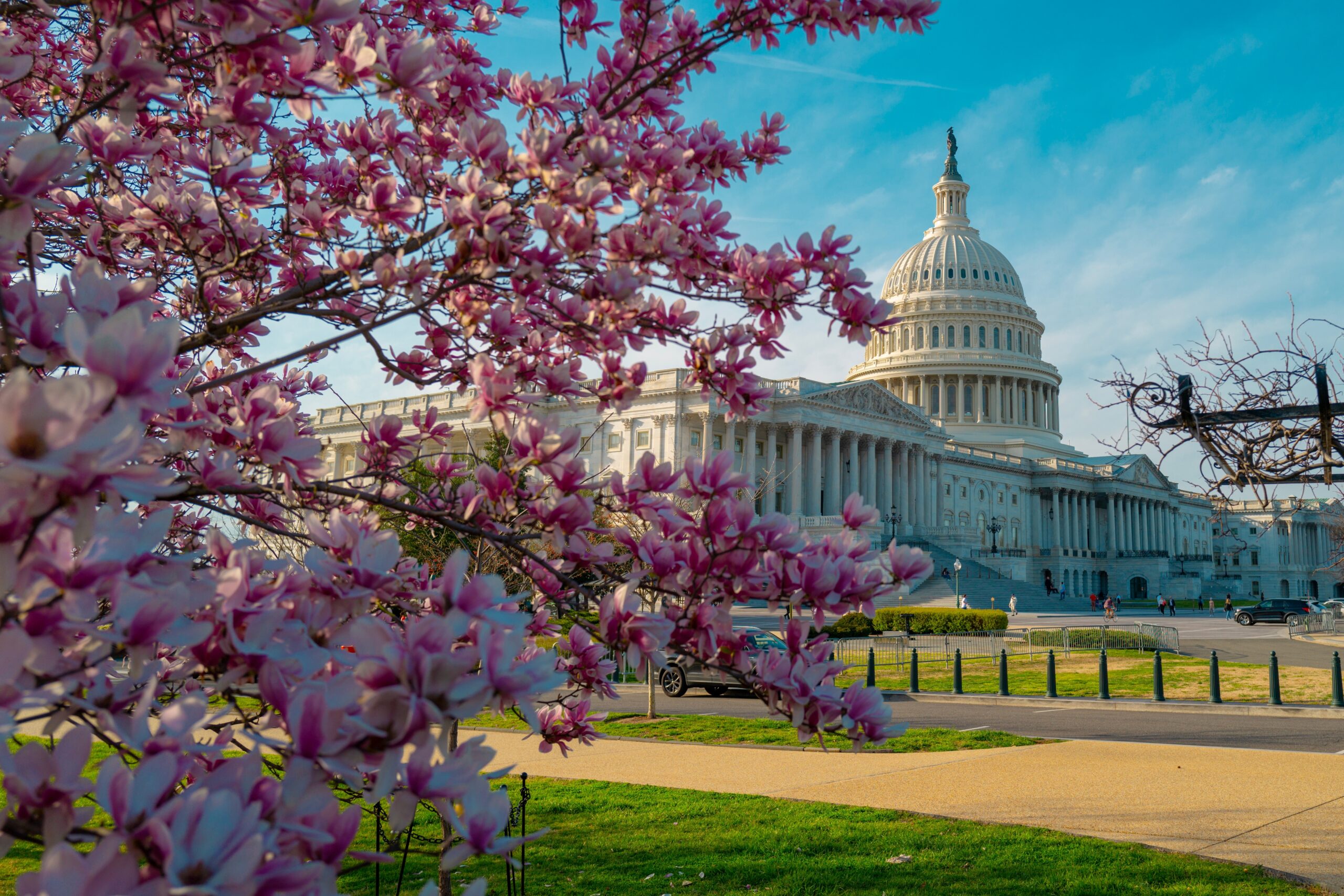 Capitol,Democracy,In,Usa,Washington,Dc,,Capitol,Building,Usa.,Supreme