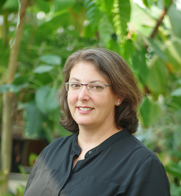 leila-khatib-division-article-winner